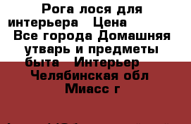 Рога лося для интерьера › Цена ­ 3 300 - Все города Домашняя утварь и предметы быта » Интерьер   . Челябинская обл.,Миасс г.